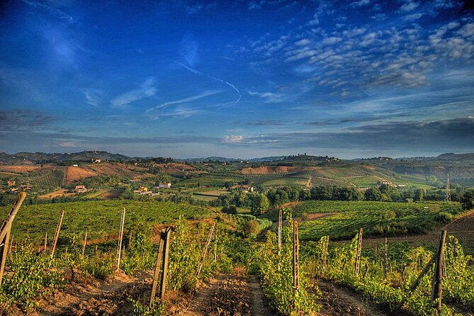 private-tour-brunello-di-montalcino-and-nobile-di-montepulciano-wine-experience-in-tuscany-2