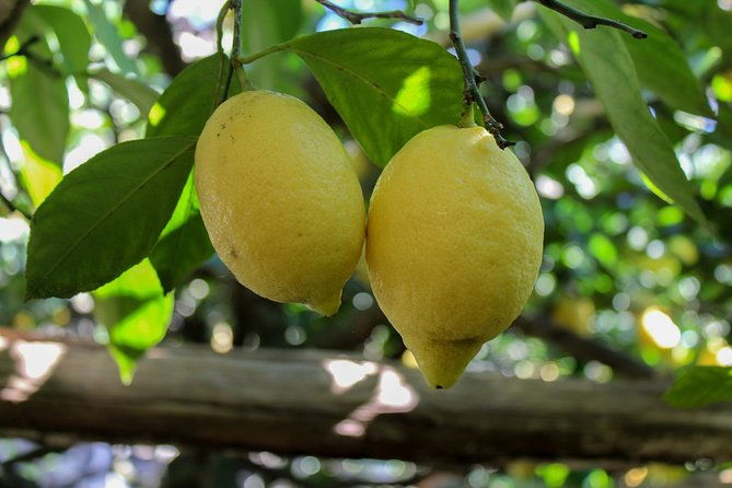 private-tour-by-car-from-sorrento-to-the-amalfi-coast-2