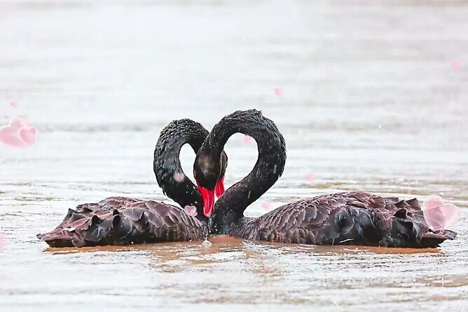 Private Tour by metro of Shanghai Zoo, Qibao Old Town and Shanghai Tower - Key Points