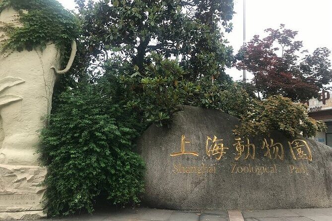 Private Tour by metro of Shanghai Zoo, Qibao Old Town and Shanghai Tower - A Deep Dive into the Experience