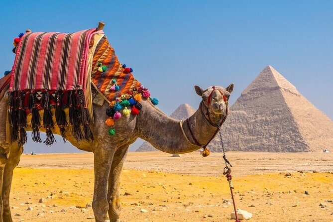 Private Tour: Cairo Day Trip from Hurghada, Including Round-Trip Flights, Giza Pyramids, Sphinx, and Egyptian Museum - Who Will Love This Tour?