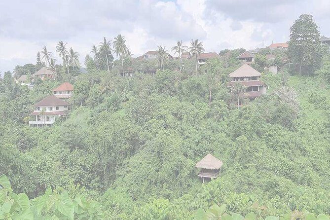 Private Tour: Campuhan Ridge Walk, Ubud Rice Terrace & Ubud Palace - Why This Tour Offers Great Value