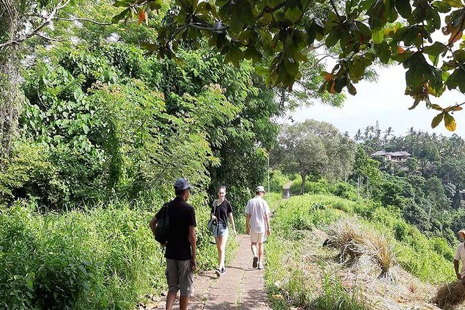 Private Tour: Campuhan Ridge Walk, Ubud Rice Terrace & Ubud Palace - FAQ