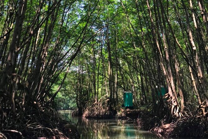 Private Tour Can Gio Mangrove Biosphere - What Travelers Love About This Tour