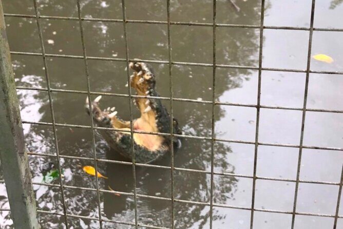 Private Tour Can Gio Mangrove Biosphere - FAQ