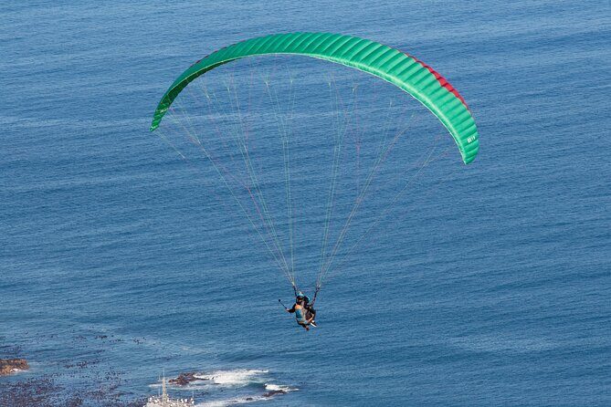 Private Tour: Cape of Good Hope and Boulders Beach Penguin Tour - Key Points