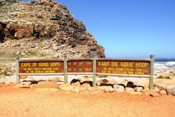 Private Tour Cape of Good Hope-Boulders Penguins from Cape Town - In-Depth Look at the Tour Experience