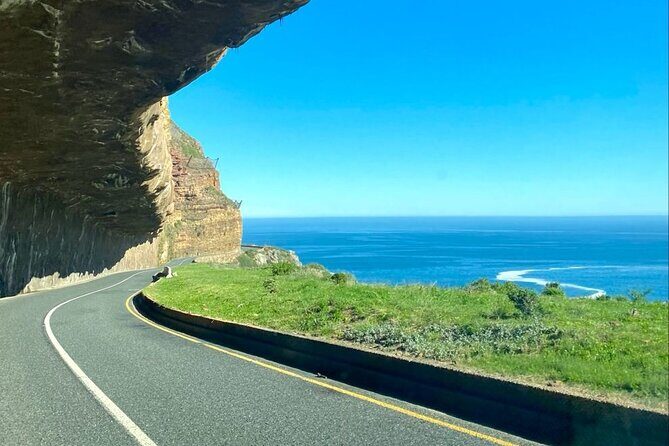 Private Tour: Cape of Good Hope, Cape point and Boulders Beach - Who Should Book This Tour?