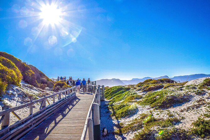 Private Tour: Cape of Good Hope, Cape point and Boulders Beach - FAQ