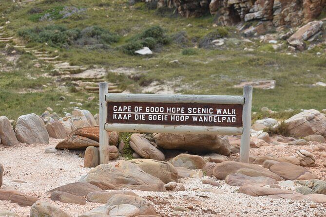 Private Tour Cape of Good Hope & Penguins Sightseeing Full day - Final Thoughts