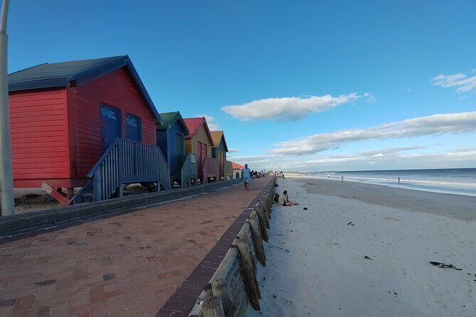 Private Tour : Cape of Good Hope,Penguin Colony& Muizenberg Beach - Charming Hout Bay and Seal Island