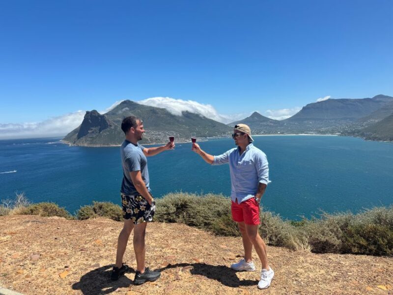 Private Tour: Cape Point, Penguins, Chapmans Peak & more... - Key Points