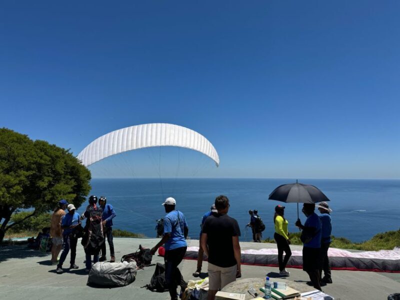 Private Tour: Cape Point, Penguins, Chapmans Peak & more... - Who Will Love This Tour?