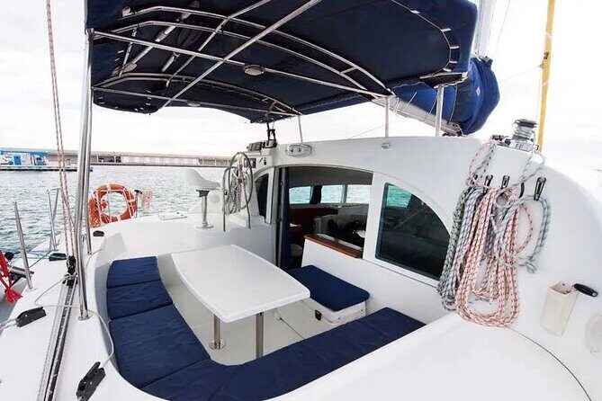 Private tour: Catamaran Full day cruise in Ibiza & Formentera - Who Will Love This Tour?
