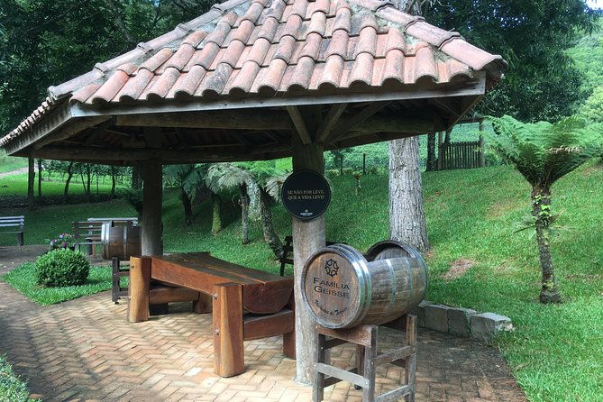private-tour-cave-geisse-2-wineries-from-pinto-bandeira-rs