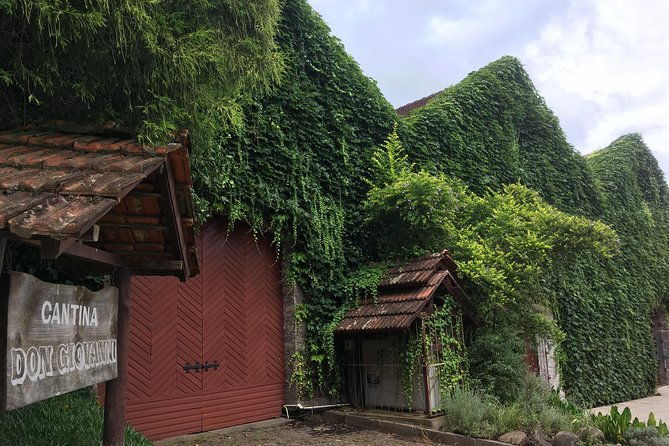 private-tour-cave-geisse-2-wineries-from-pinto-bandeira-rs