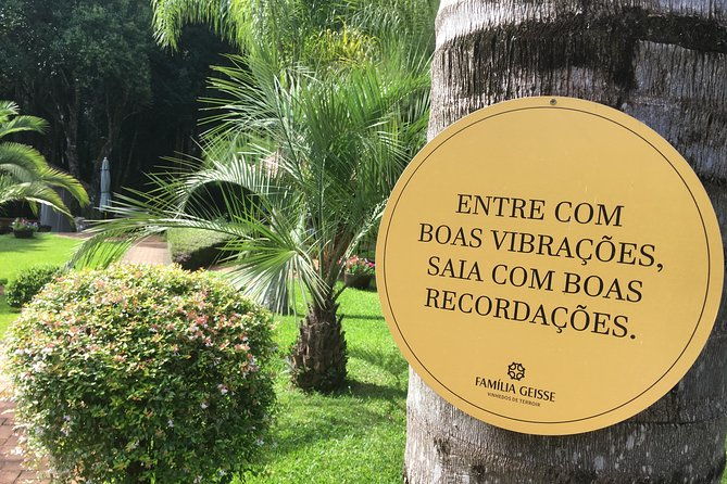 private-tour-cave-geisse-2-wineries-from-pinto-bandeira-rs