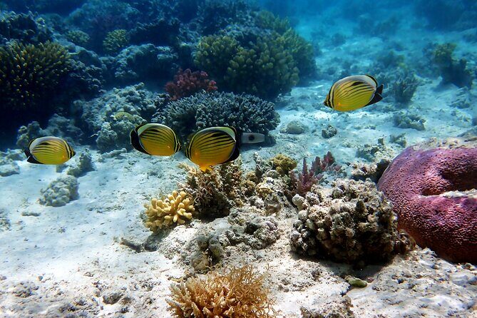 Private Tour Cebu Ocean Park - The Sum Up