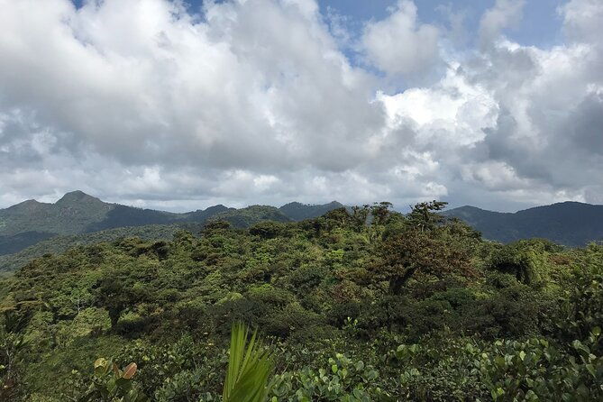 private-tour-cerro-gaital-natural-monument-trail