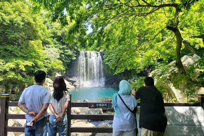 Private Tour Cheonjeyeon Falls & Spirited Garden in Jeju Island - Key Points