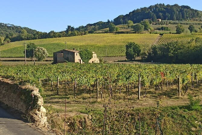 PRIVATE TOUR: Chianti Afternoon tour with visit to 2 wine farms - Exploring the Charm of Tuscany’s Chianti on a Private Tour