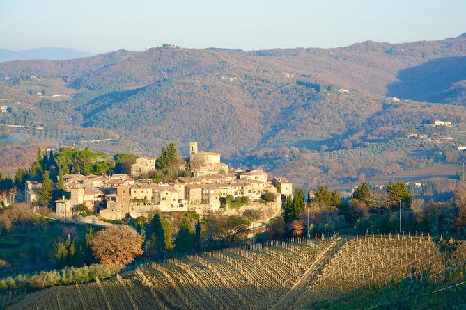 private-tour-chianti-region-tour-by-minivan