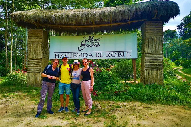 private-tour-coffee-tour-cultivations