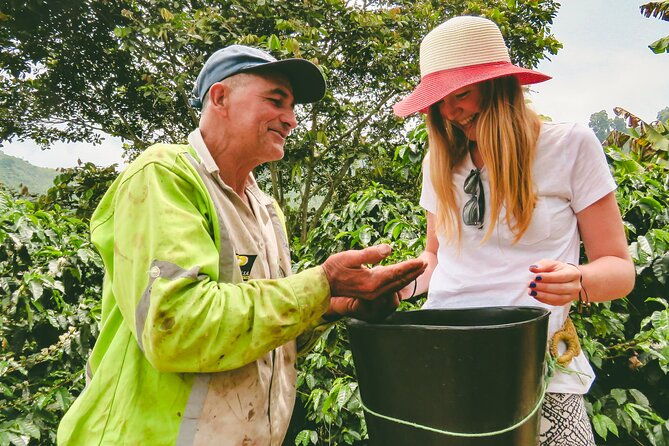 private-tour-colombian-coffee-farm-culture-from-medellin-from-crop-to-cup