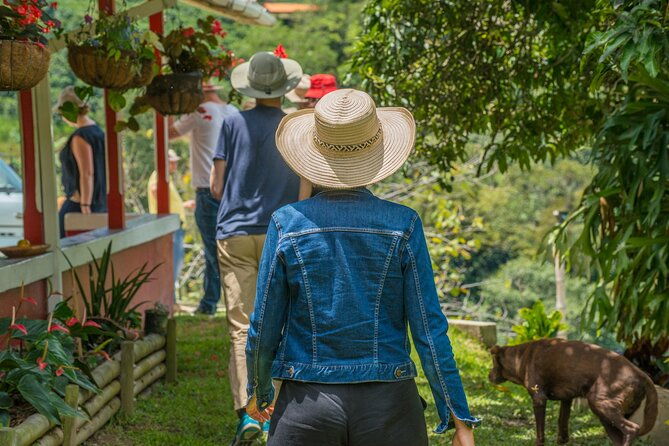 private-tour-colombian-coffee-farm-culture-from-medellin-from-crop-to-cup