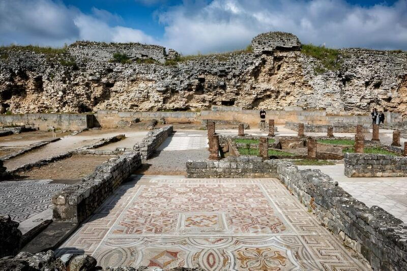 private-tour-conimbriga-roman-ruins-joaninha-library