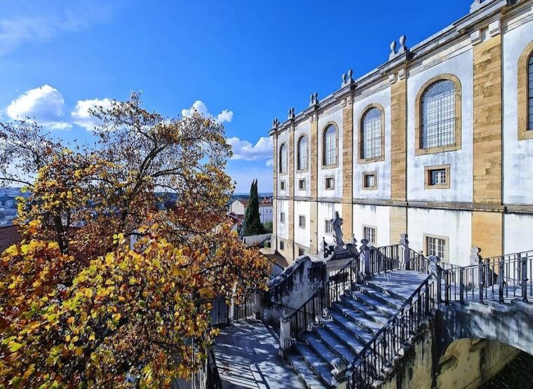private-tour-conimbriga-roman-ruins-joaninha-library