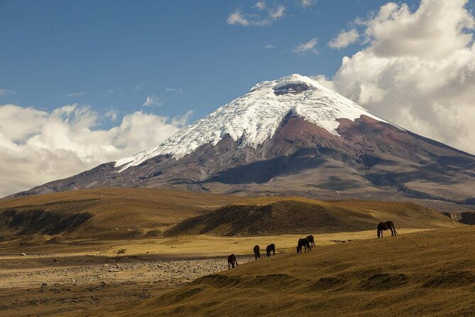 private-tour-cotopaxi-natural-wonders
