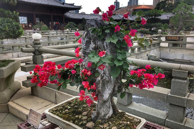 Private tour - custom shore excursion for cruise passengers - 7 hours - FAQ