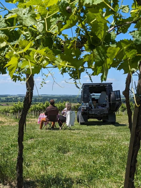 private-tour-day-in-the-heart-of-the-cognac-vineyards