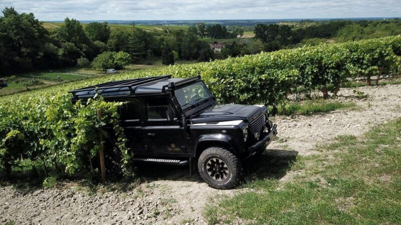 private-tour-day-in-the-heart-of-the-cognac-vineyards