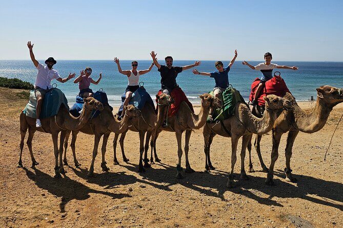 Private Tour: Day through Gibraltar and Morocco, Tangier from Seville - Introduction
