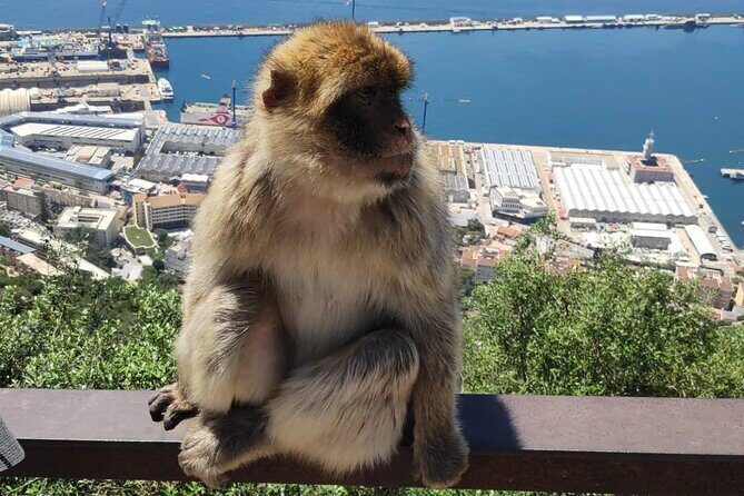 Private Tour: Day through Gibraltar and Morocco, Tangier from Seville - Final Thoughts