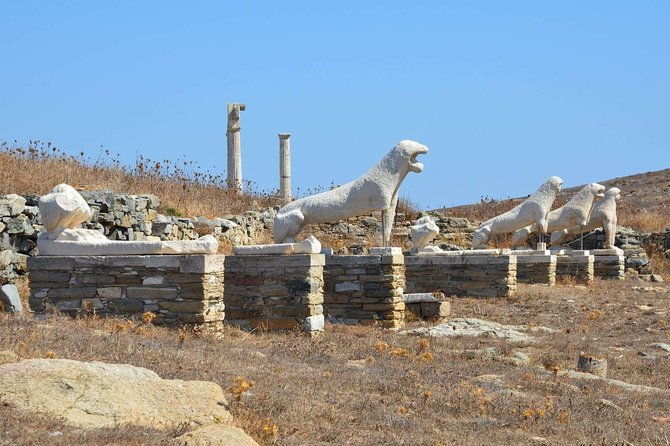 private-tour-delos-day-trip-from-mykonos
