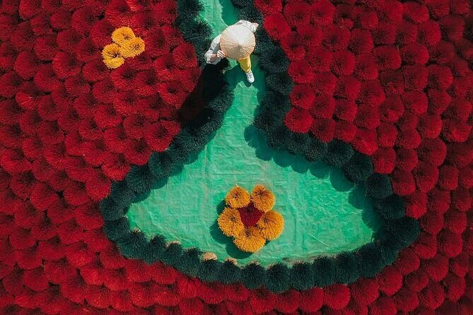 Private Tour Discover Incense Village, Hoa Lu & Tam Cocs Beauty - Key Points