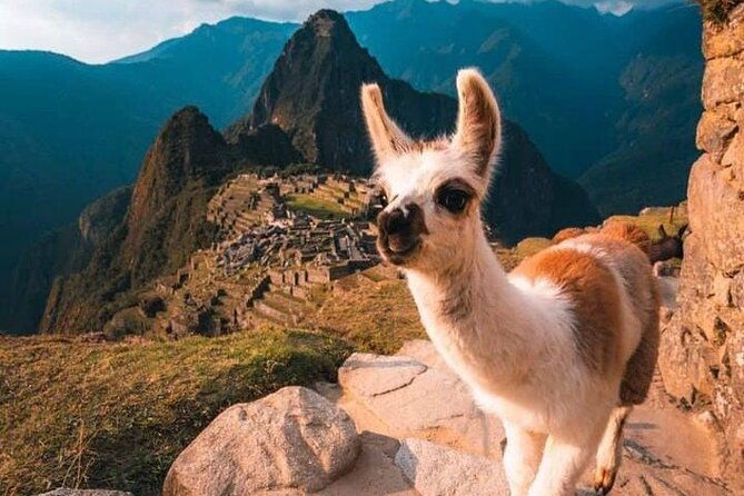 private-tour-discover-machu-picchu-in-5-days-and-4-nights