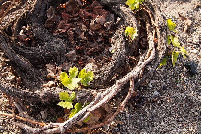 private-tour-discover-south-of-santorini