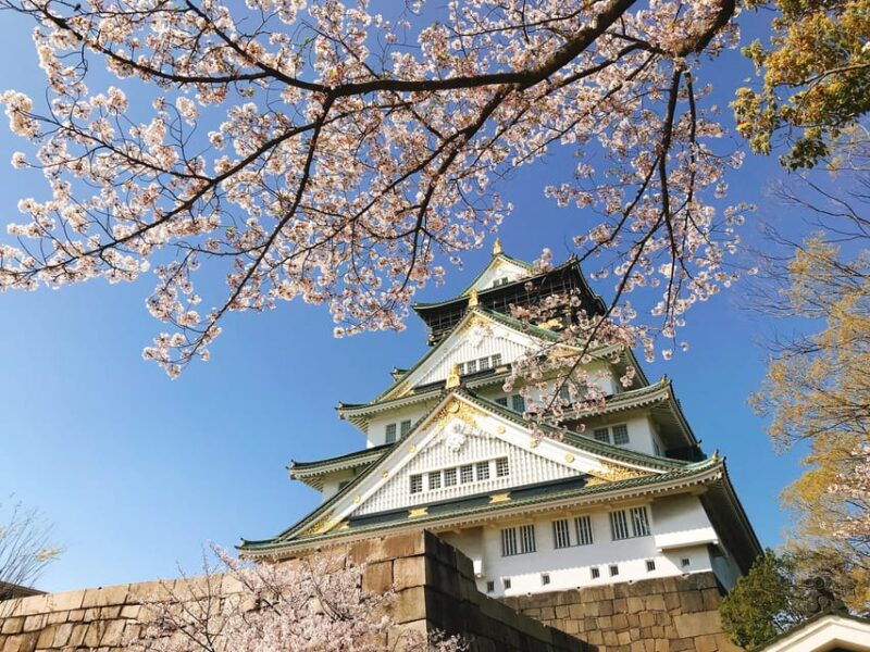 private-tour-discover-the-best-of-osaka-with-a-local-guide