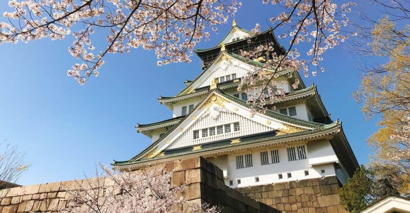 private-tour-discover-the-best-of-osaka-with-a-local-guide