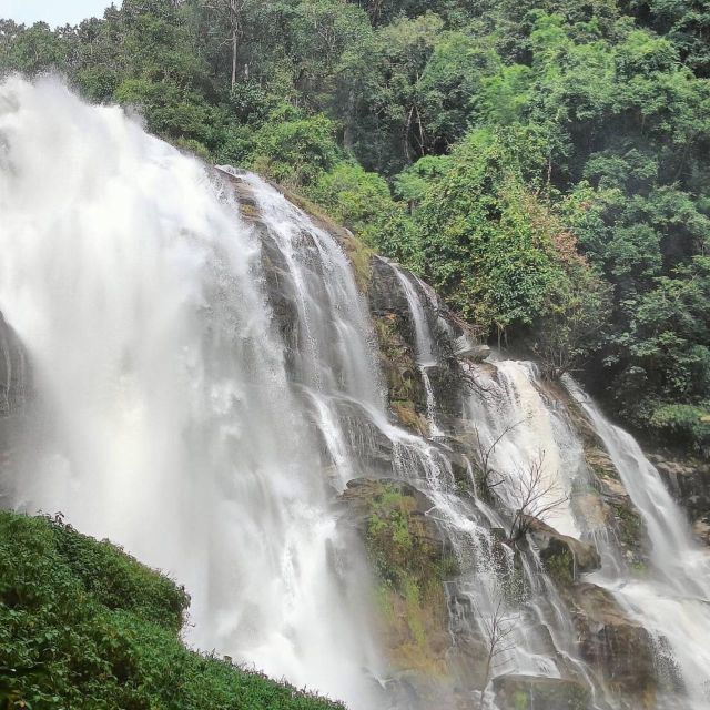 private-tour-doi-inthanon-trekking-kew-mae-pan-nature-trail