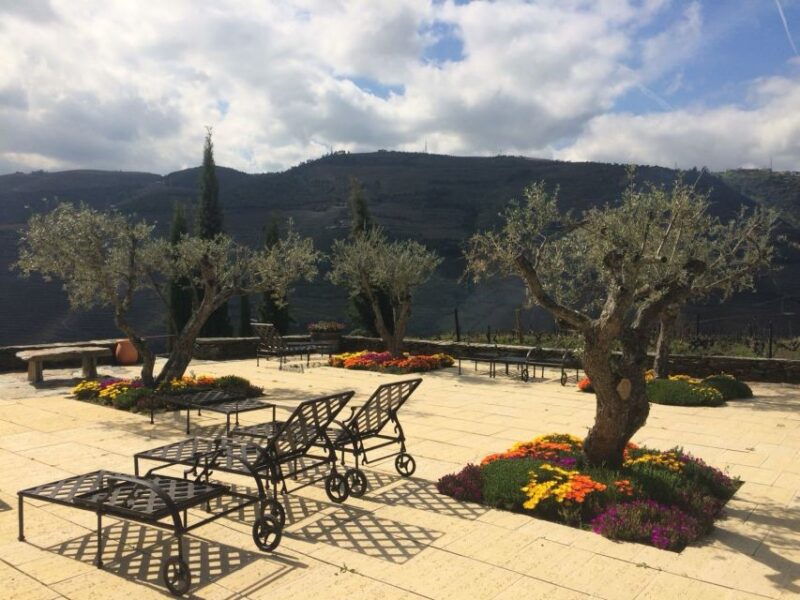 private-tour-douro-valley-wine-and-food-from-oporto