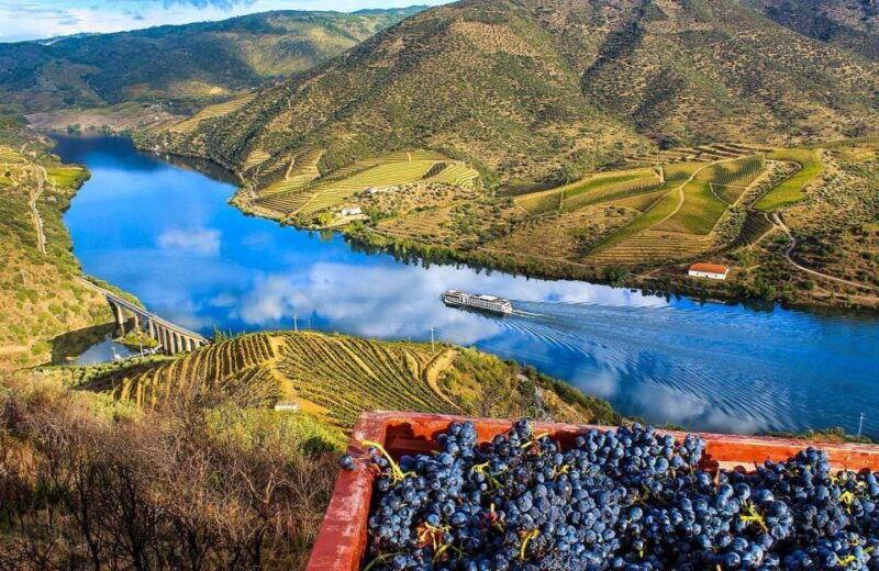 private-tour-douro-valley-wine-and-food-from-oporto
