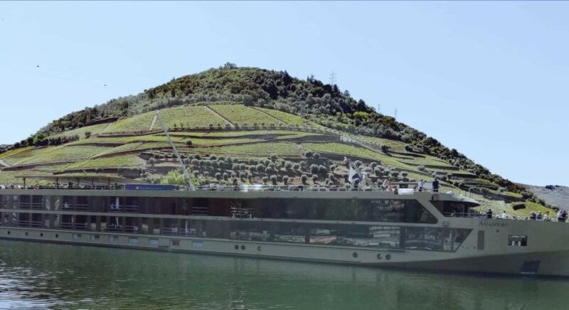 private-tour-douro-valley-wine-and-food-from-oporto
