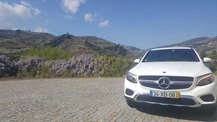 private-tour-douro-valley-wine-and-food-from-oporto