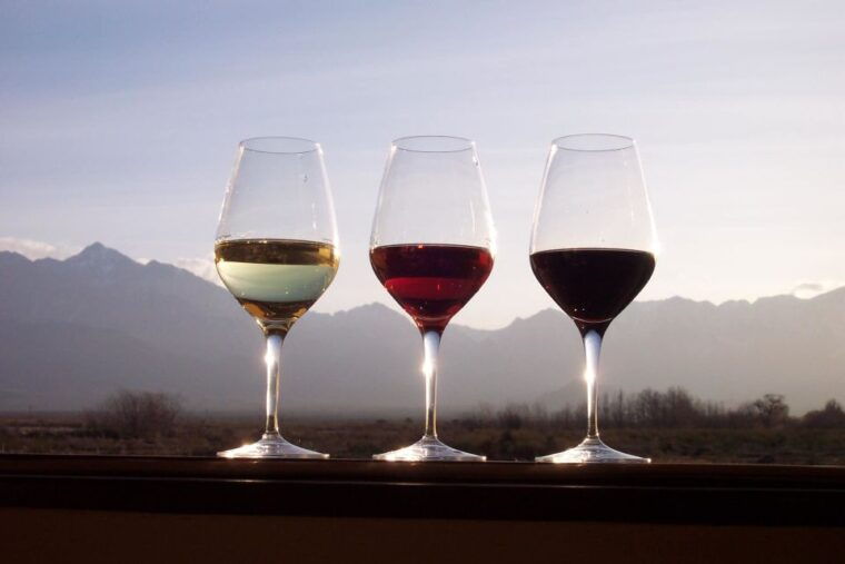 private-tour-douro-valley-wine-and-food-from-oporto