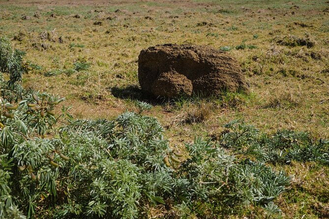 private-tour-easter-islands-forgotten-poike-peninsula